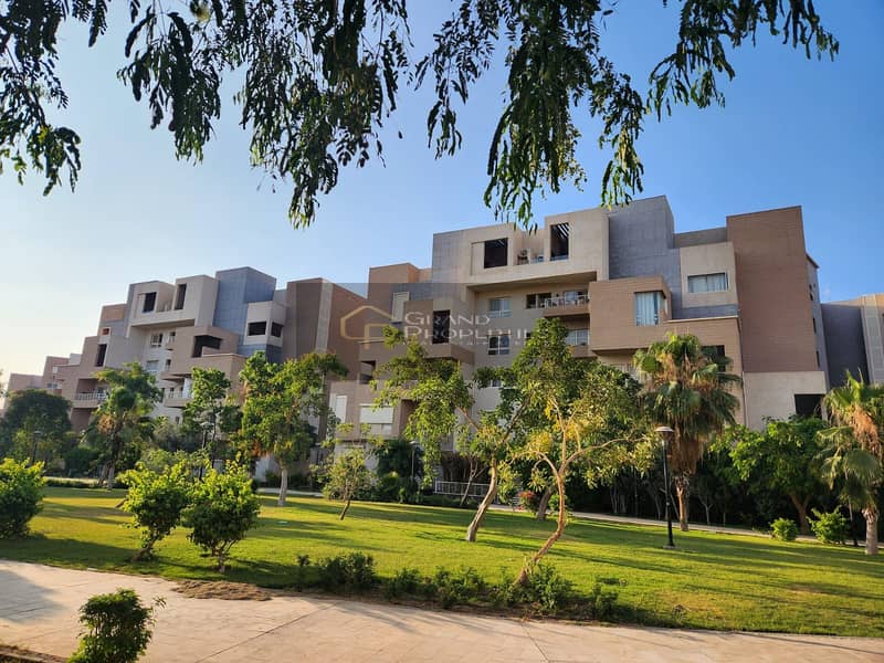 3 cb5a266c-183c-40f8-aaef-deedffa5126d. jpg