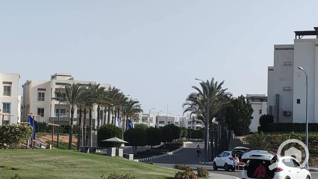 15 IMG-20250621-WA0017. jpg