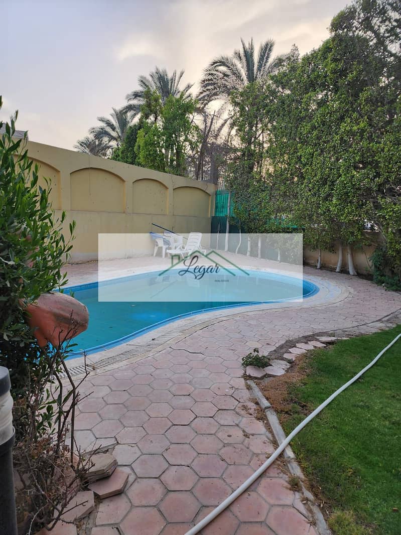 9 3ffd5201-dd49-4253-b647-7f4a2550f33f. jpg