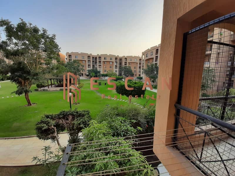 14 e97af5d8-3b86-4363-bd66-10883a369b9c. jpg