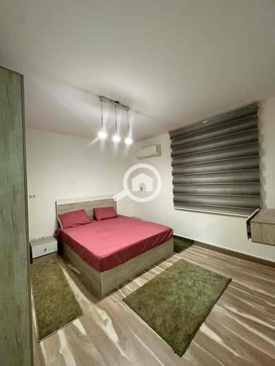 شقة 1 غرفة نوم للايجار في القاهرة الجديدة، القاهرة - IMG_3451. jpg