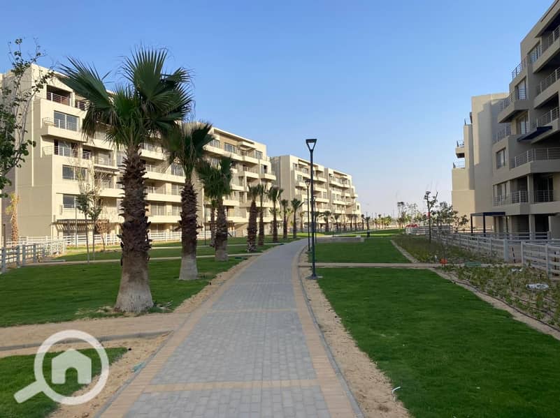 4 WhatsApp Image 2024-10-09 at 4.53. 18 AM (4). jpeg