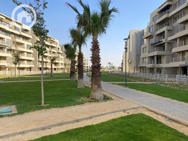 8 WhatsApp Image 2024-10-09 at 4.53. 19 AM. jpeg