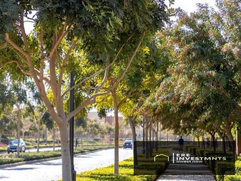 6 5ddb5576-8407-448d-a247-2cba3c496dff. jpg