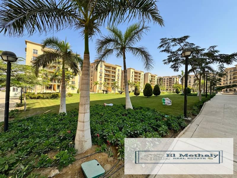 7 8b12670a-3a97-48b3-8294-9f82539fdb15. jpg