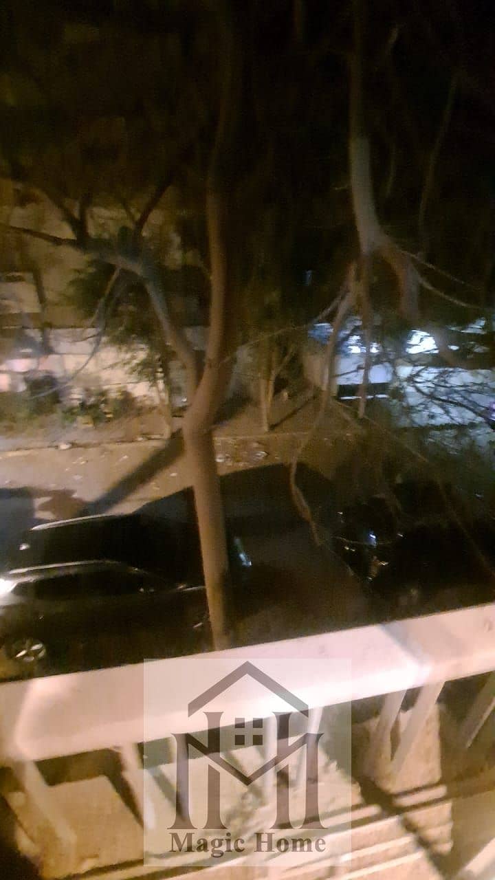 11 e9a90df5-05b3-4ffb-9500-65e2e5458c75. jpg