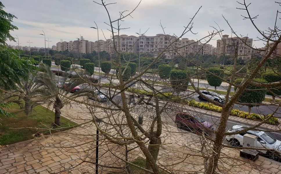 10 WhatsApp Image 2026-01-17 at 7.05. 00 PM (1). jpeg