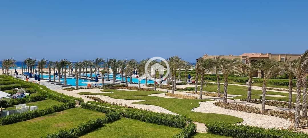 2 WhatsApp Image 2026-01-17 at 7.20. 33 PM (1). jpeg