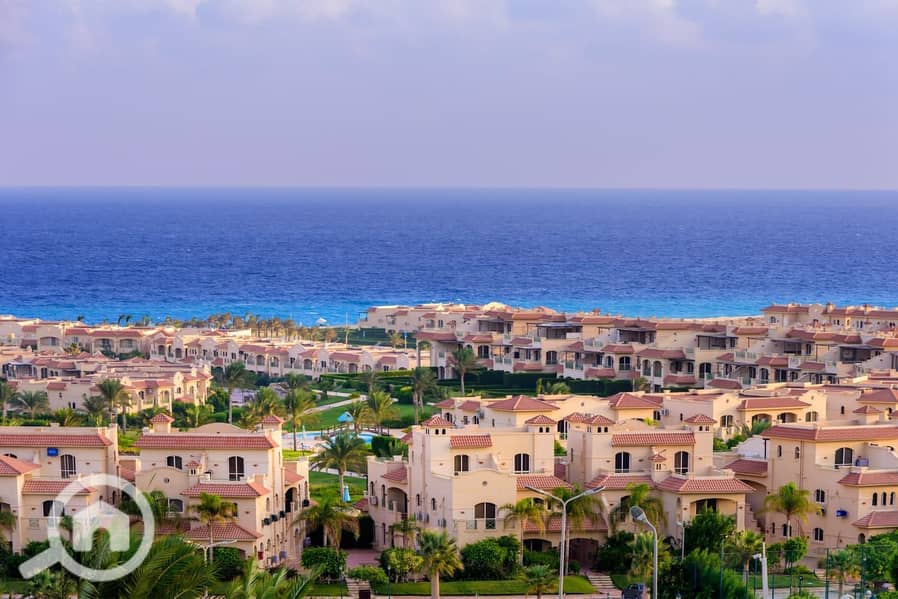 3 49e01225-036d-4cdb-88ec-dc38430143aa. jpeg