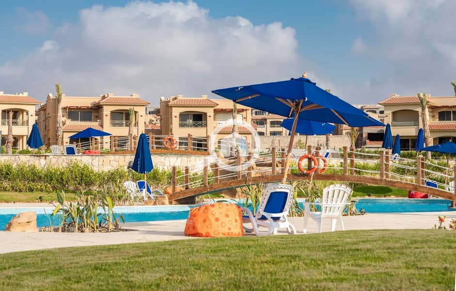 4 9d65050e-2952-483d-b70d-8983a787207e. jpeg