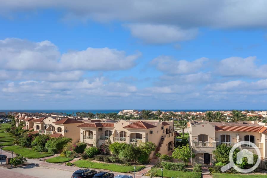 6 306c9515-dd4b-452a-a1fd-e511f4ecbef6. jpeg