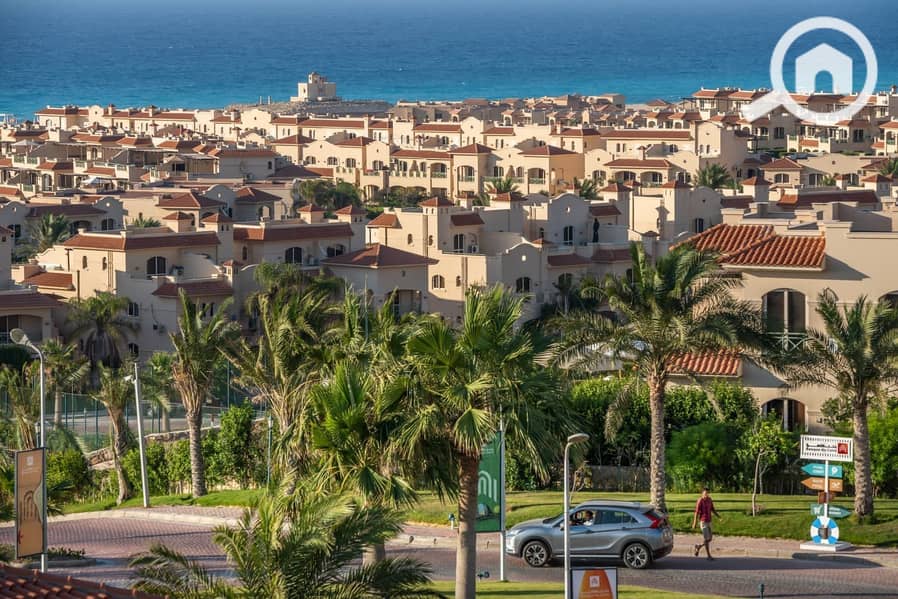 8 556250c4-0c25-40a7-88ff-20918e12101b. jpeg