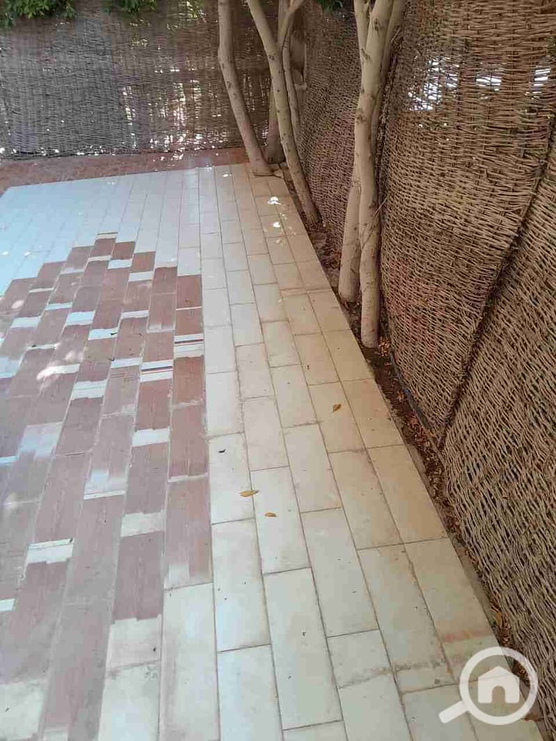 6 IMG-20260117-WA0141. jpg