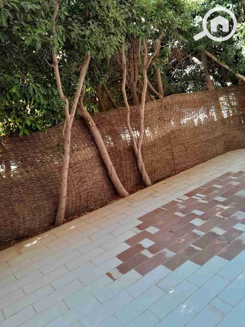 8 IMG-20260117-WA0145. jpg