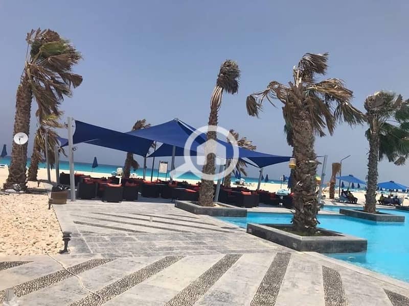 3 06e03f36-626d-4c92-9bbf-509c70994eb3. jpeg