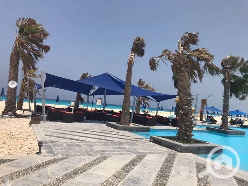 7 06e03f36-626d-4c92-9bbf-509c70994eb3. jpeg