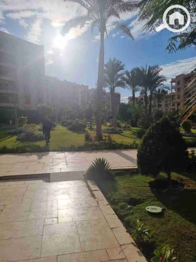 3 Bedroom Flat for Rent in New Cairo, Cairo - 1000502563. jpg