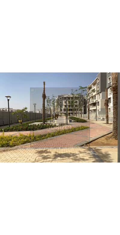 فلیٹ 3 غرف نوم للايجار في القاهرة الجديدة، القاهرة - 1. jpg