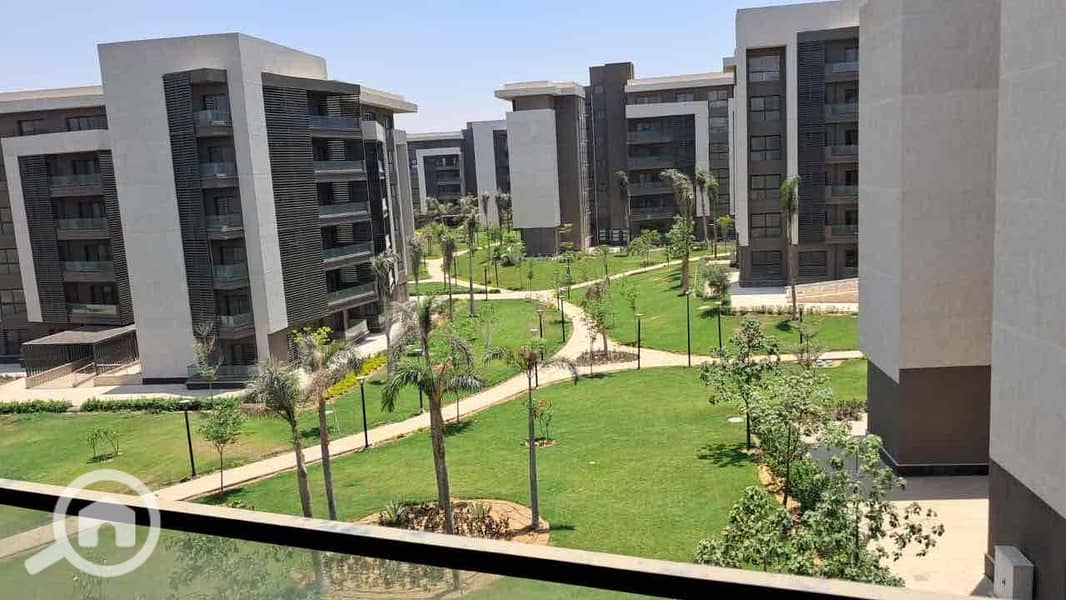 5 433e33a0-0da6-476a-9788-7e6ed90aa5d7. jpg