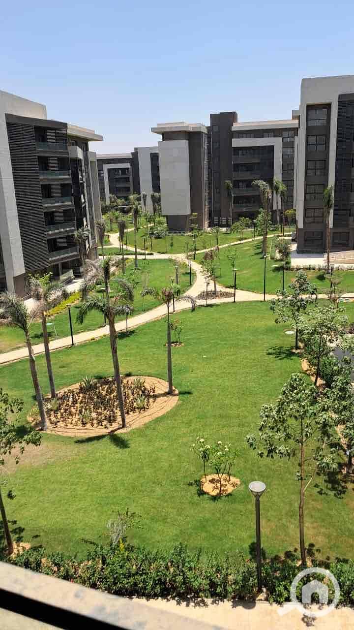 6 db913c59-d34b-4542-abdd-806714e1b61d. jpg