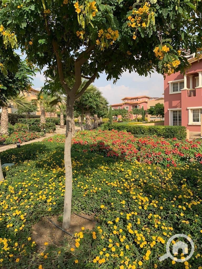 3 a5a06c84-3102-471c-8edb-07fea8a68701. jpeg