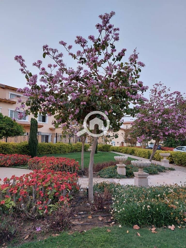 4 17f32fb7-842b-4f26-9abd-2132f2a0b7db. jpeg