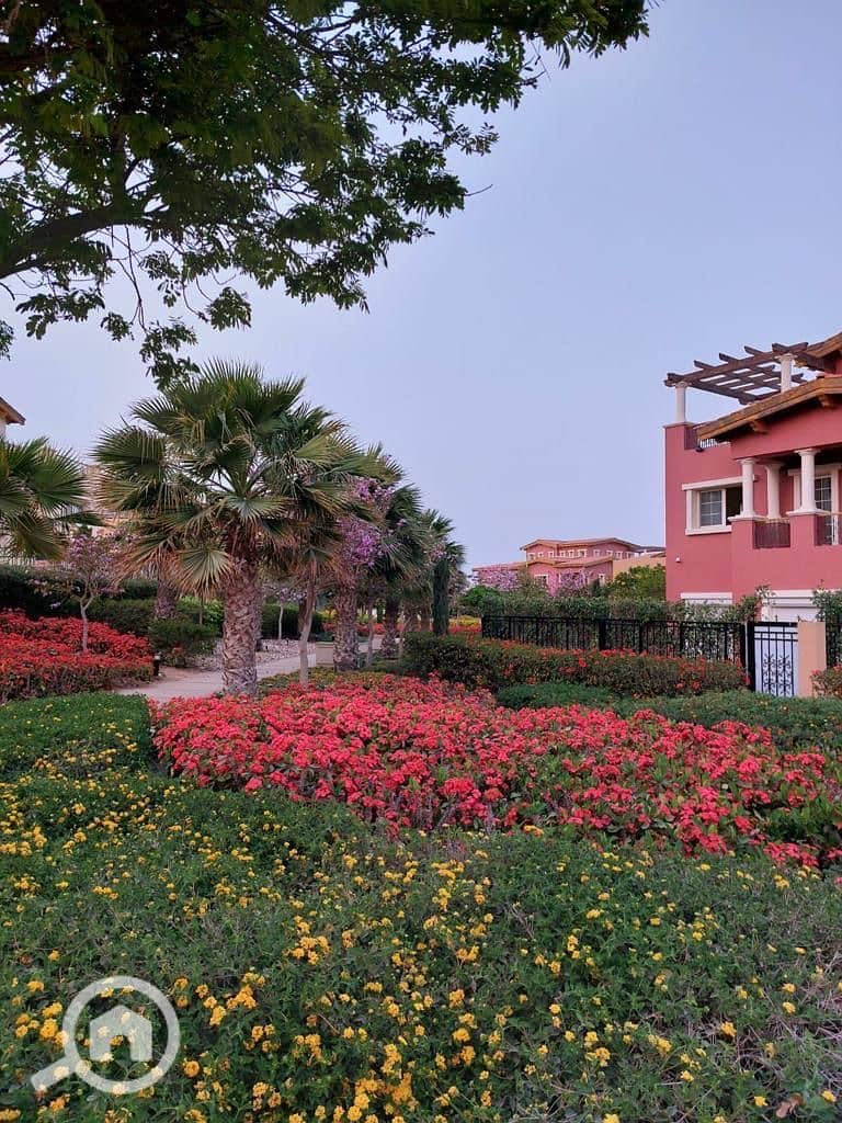 7 8ce9418e-a7cf-4e41-af80-59df30953f0d. jpeg