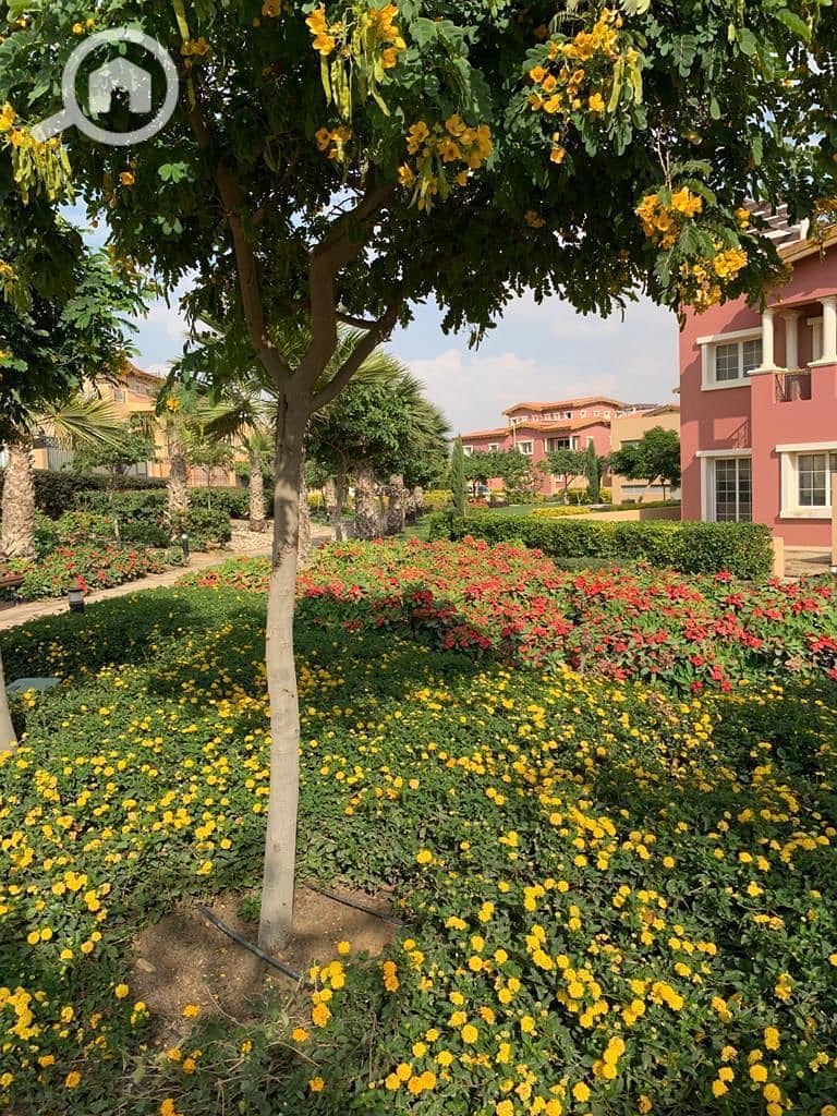 7 a5a06c84-3102-471c-8edb-07fea8a68701. jpeg