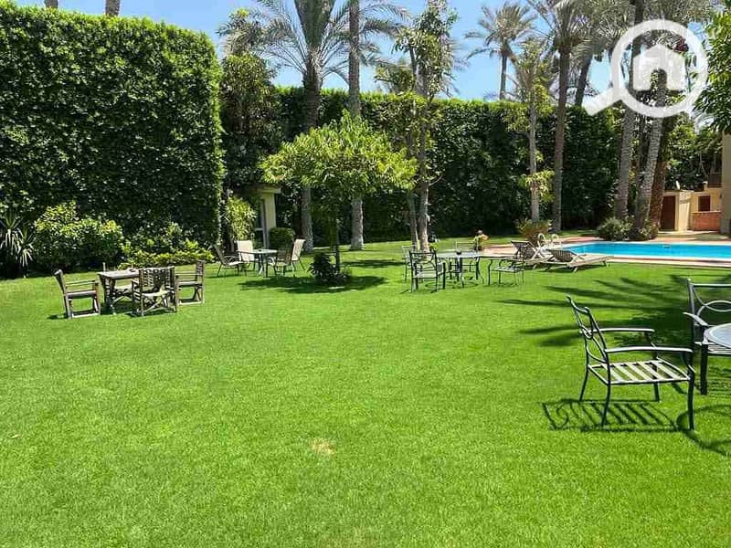 3 FB_IMG_1768604250313. jpg