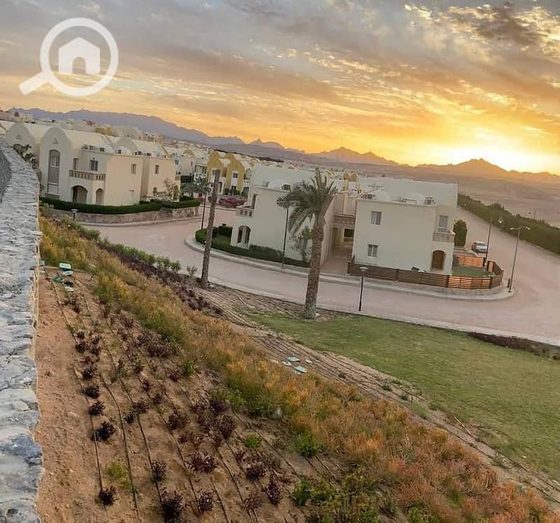 6 WhatsApp Image 2026-01-17 at 12.41. 45 PM. jpeg