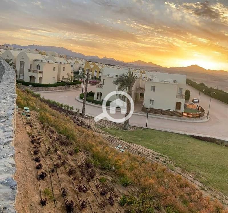 6 WhatsApp Image 2026-01-17 at 12.41. 45 PM. jpeg