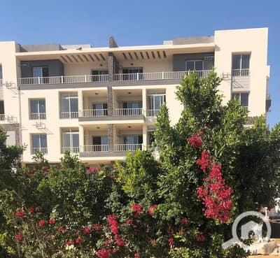 3 Bedroom Flat for Sale in New Cairo, Cairo - WhatsApp Image 2025-11-24 at 8.30. 09 PM (1). jpeg