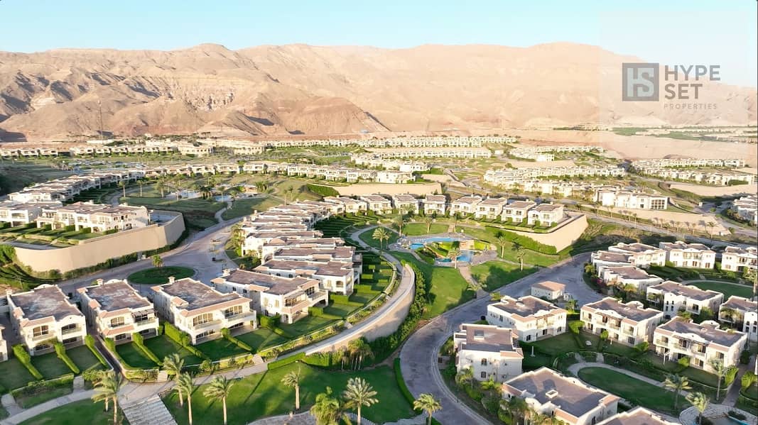 3 17fd9280-ec88-4799-9f81-92e9a71002da. jpg