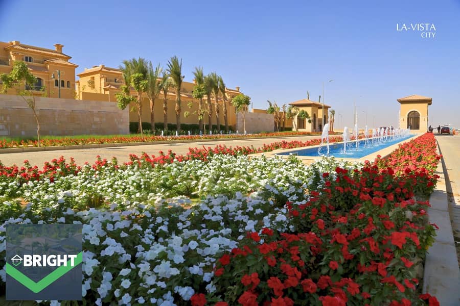 10 d2857fd7-0e91-493a-93ca-6706d2e6665a. jpg