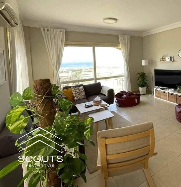 6 WhatsApp Image 2025-01-23 at 17.20. 28_6137cc4e. jpg