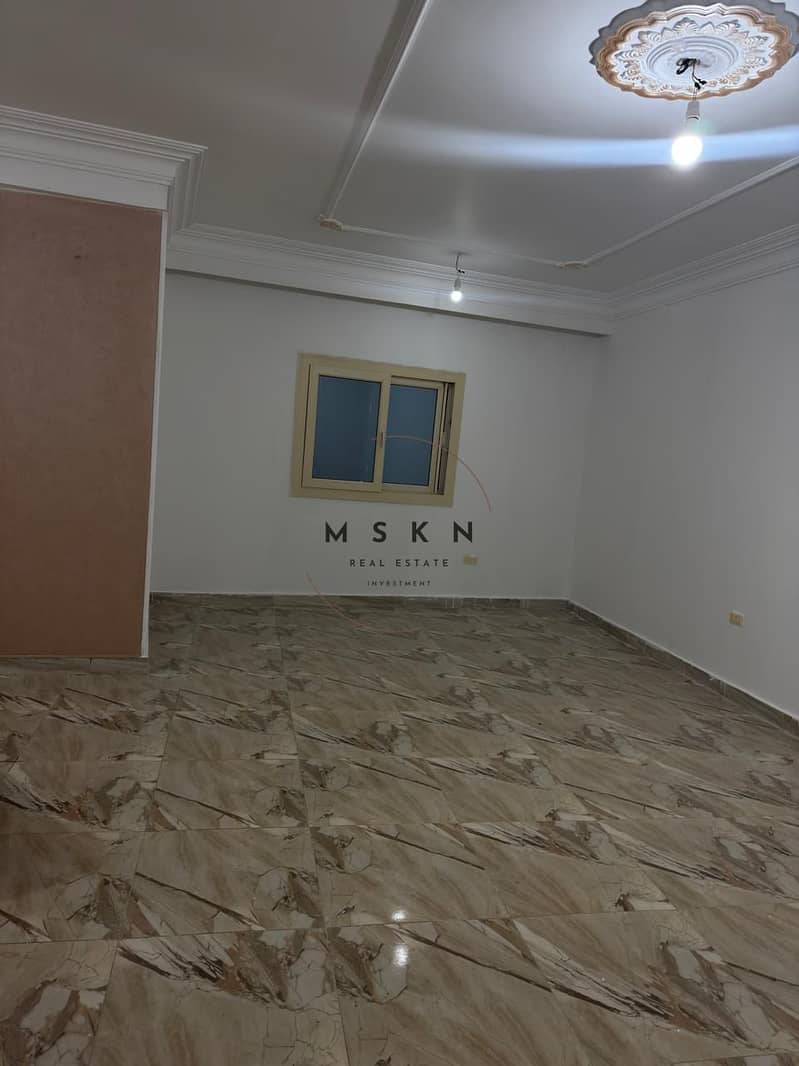 4 photo_2026-01-18 00.40. 31. jpeg