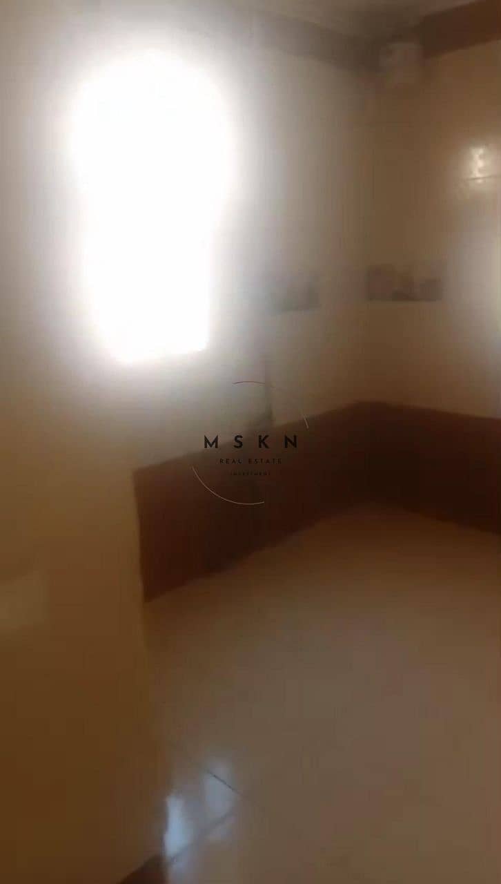 12 photo_2026-01-18 00.47. 05. jpeg