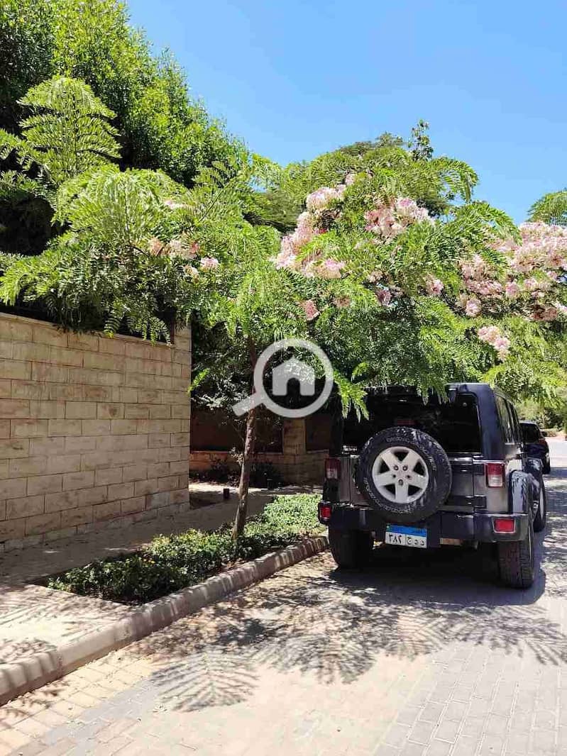 7 IMG_20251007_001124_798. jpg