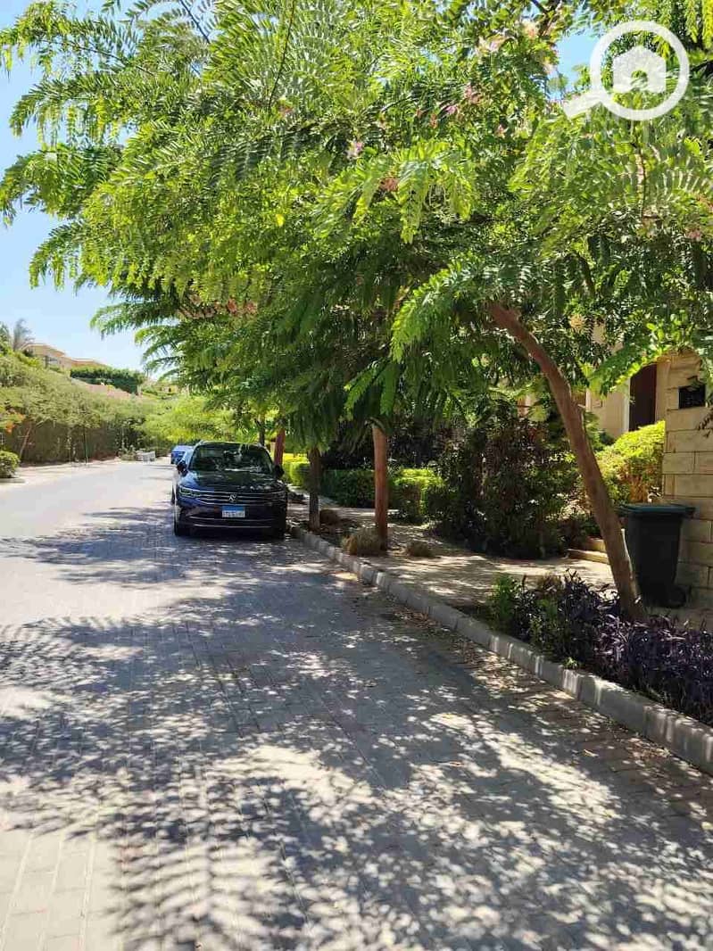 8 IMG_20251007_001125_556. jpg