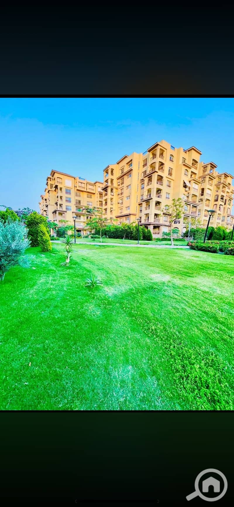 IMG_9161. png IMG_9161. png