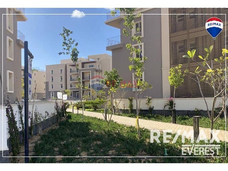 6 original - 2026-01-18T105052.520. jpg