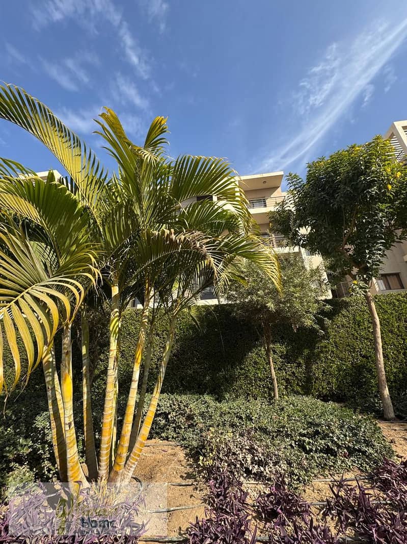 14 marassem (3). jpg