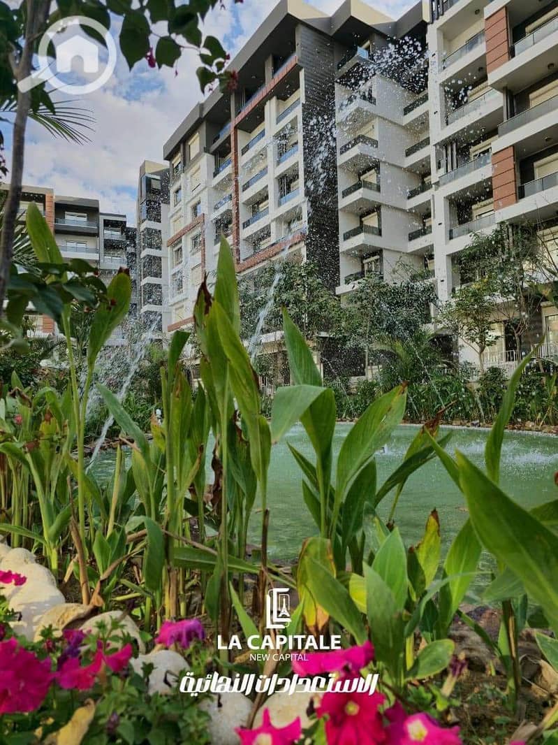 6 60a8e4ad-79c7-4ecf-aab2-cb8ed9459fb4. jpg