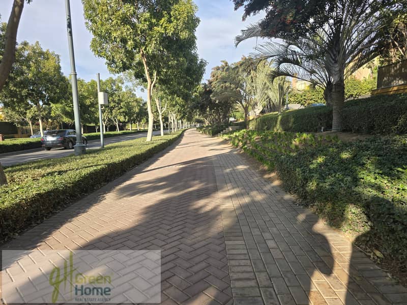 6 20260104_145253. jpg