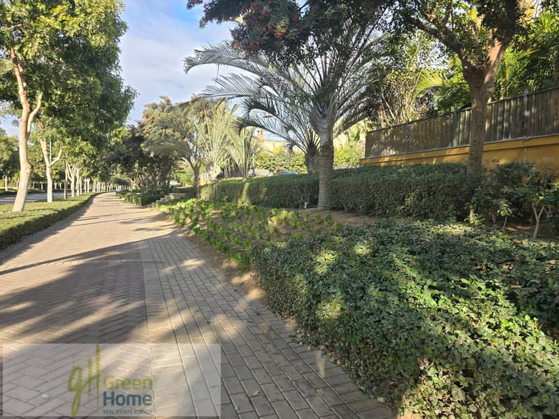 7 20260104_145254. jpg