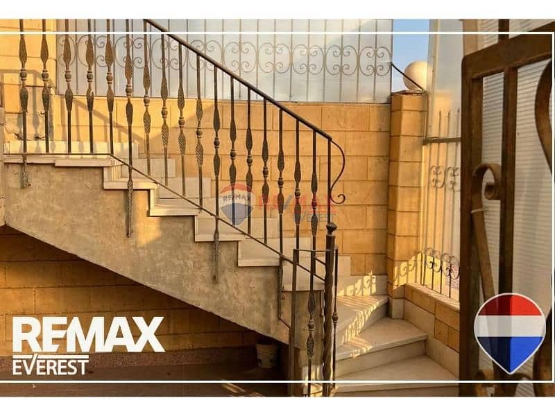 5 1312x894 (83). jpg