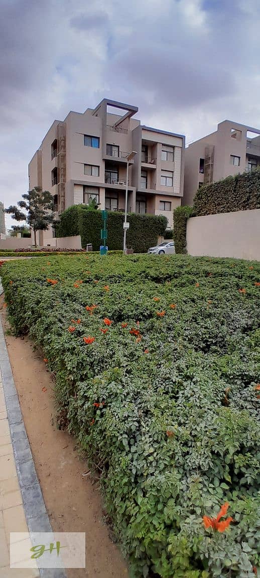 8 20251229_145342. jpg