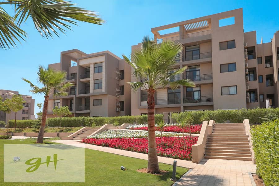 12 IMG_9377-copy. jpg