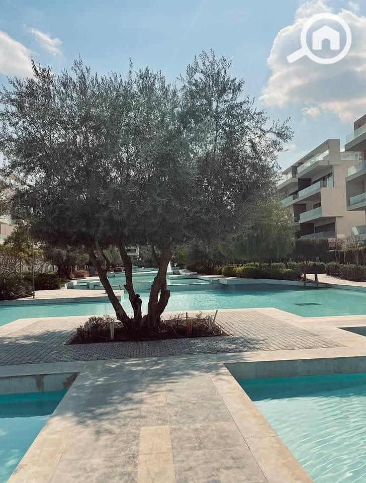 8 WhatsApp Image 2026-01-18 at 11.46. 07 AM (1). jpeg