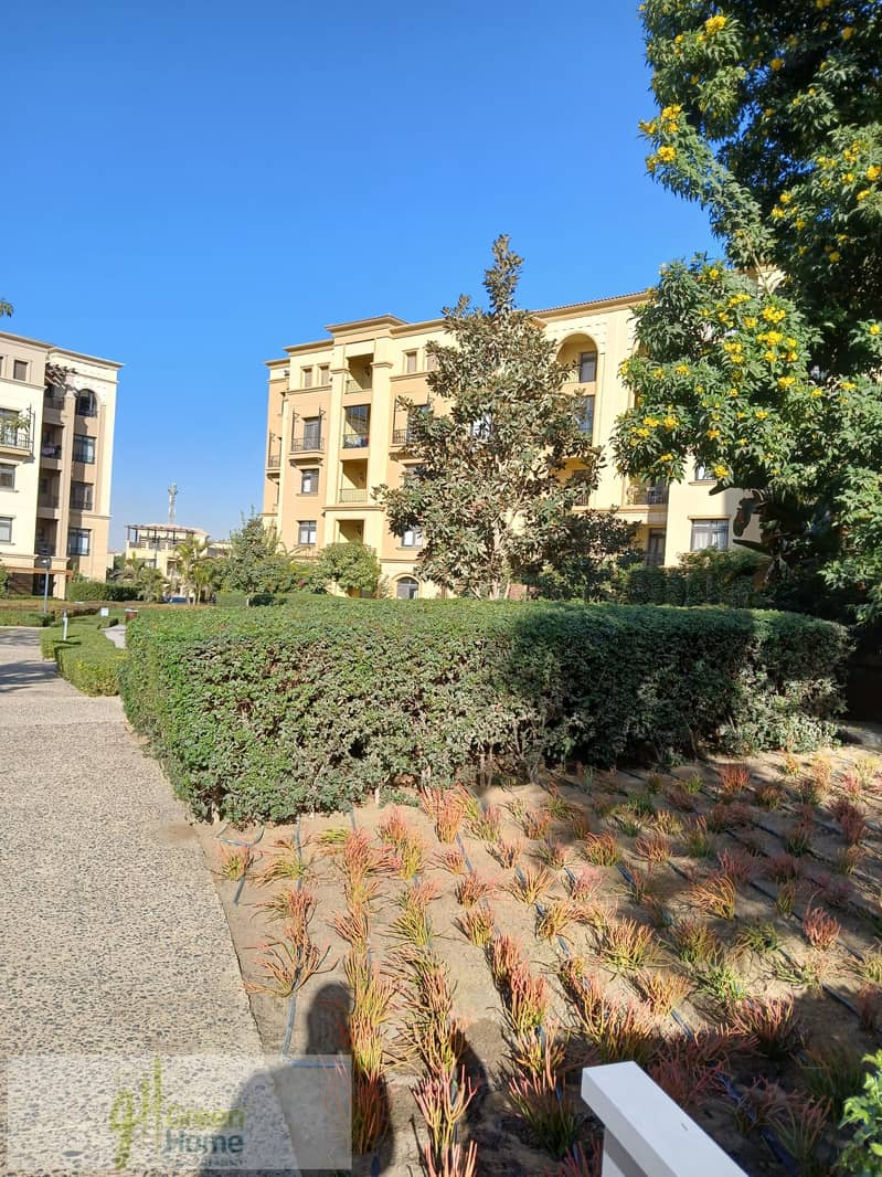 6 20260107_144800. jpg